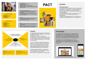 PACT Overview with persona of the user and their emotional experiences related to the topic